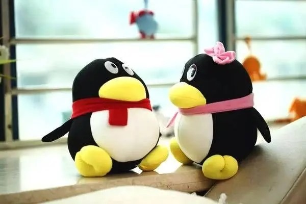 qq订阅号添加方法